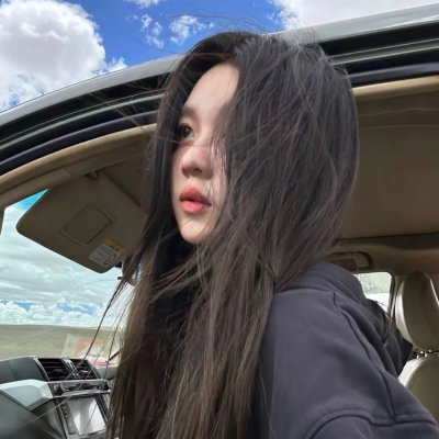 雁南飞